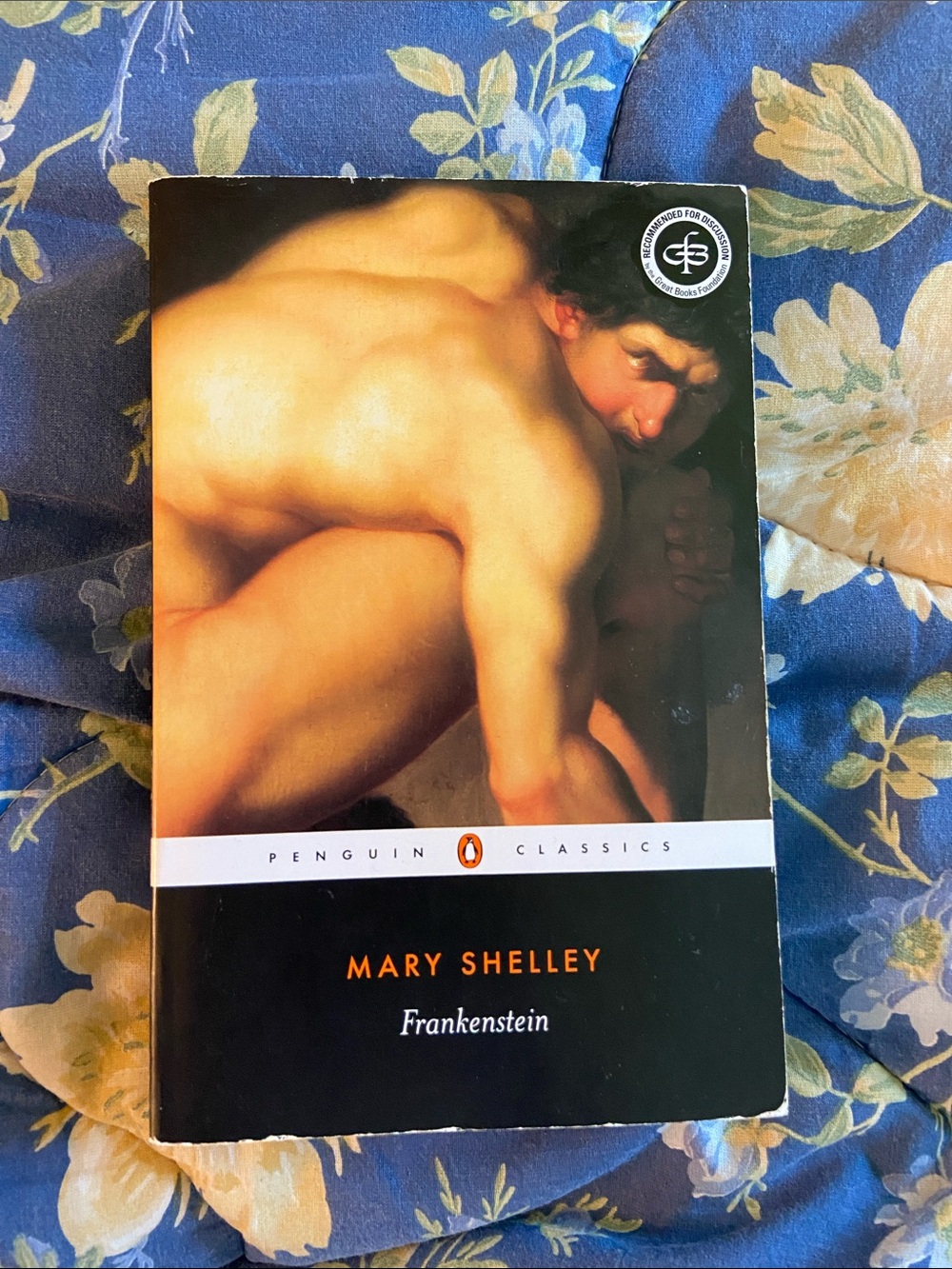Mary Shelley Frankenstein - Black Paperback ()